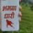 AnkitSi86336264
