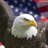 political_eagle