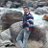 govindarairg