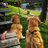 hardy_finbar