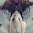 afonso_jess